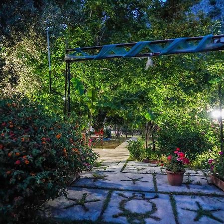 Arya Holiday Houses Çıralı Eksteriør billede