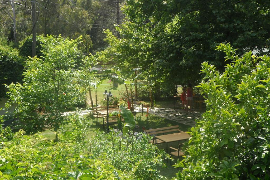 Arya Holiday Houses Çıralı Eksteriør billede