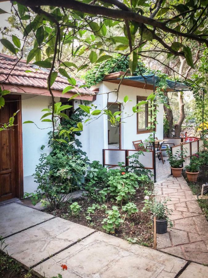 Arya Holiday Houses Çıralı Eksteriør billede