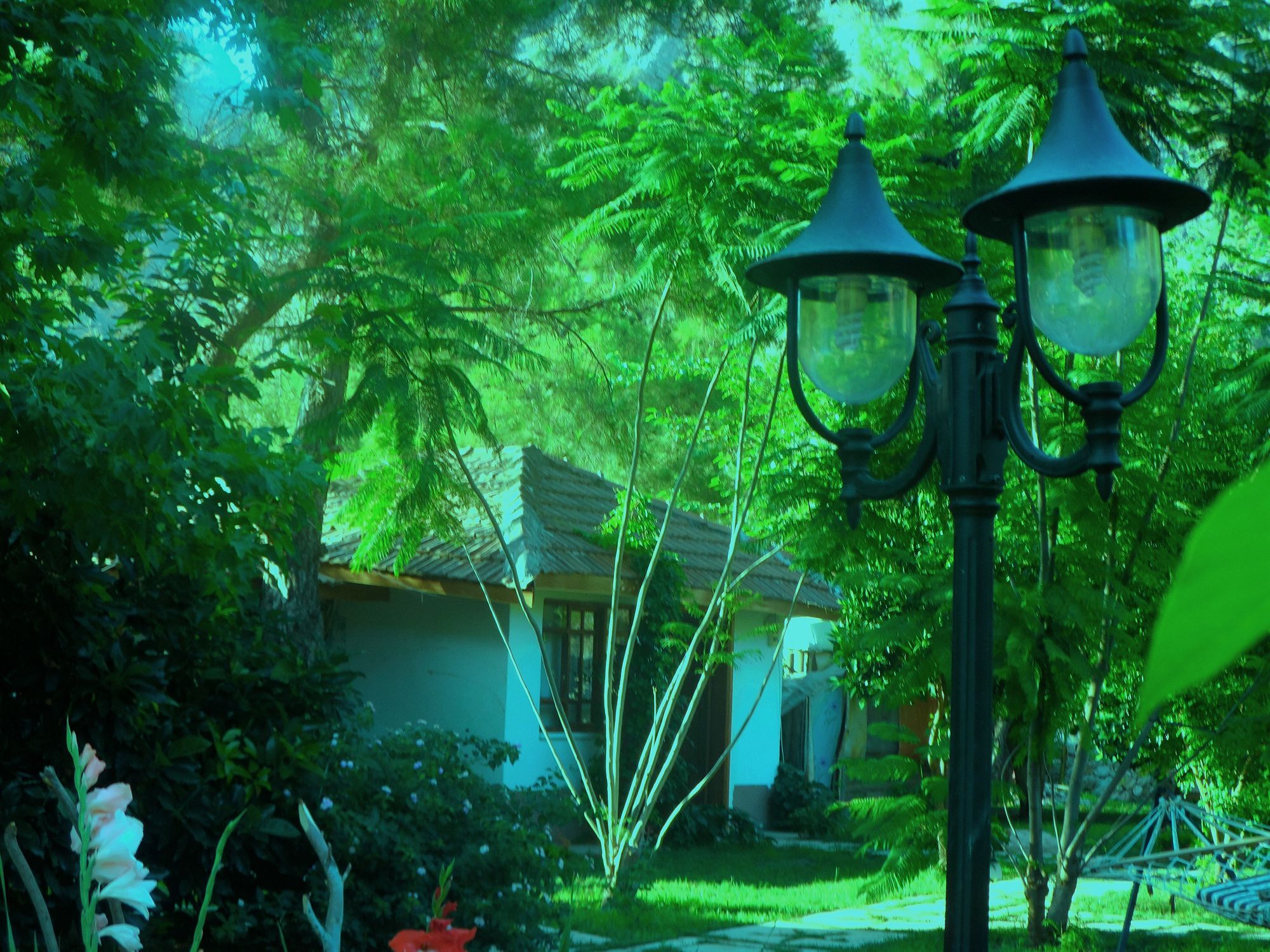 Arya Holiday Houses Çıralı Eksteriør billede