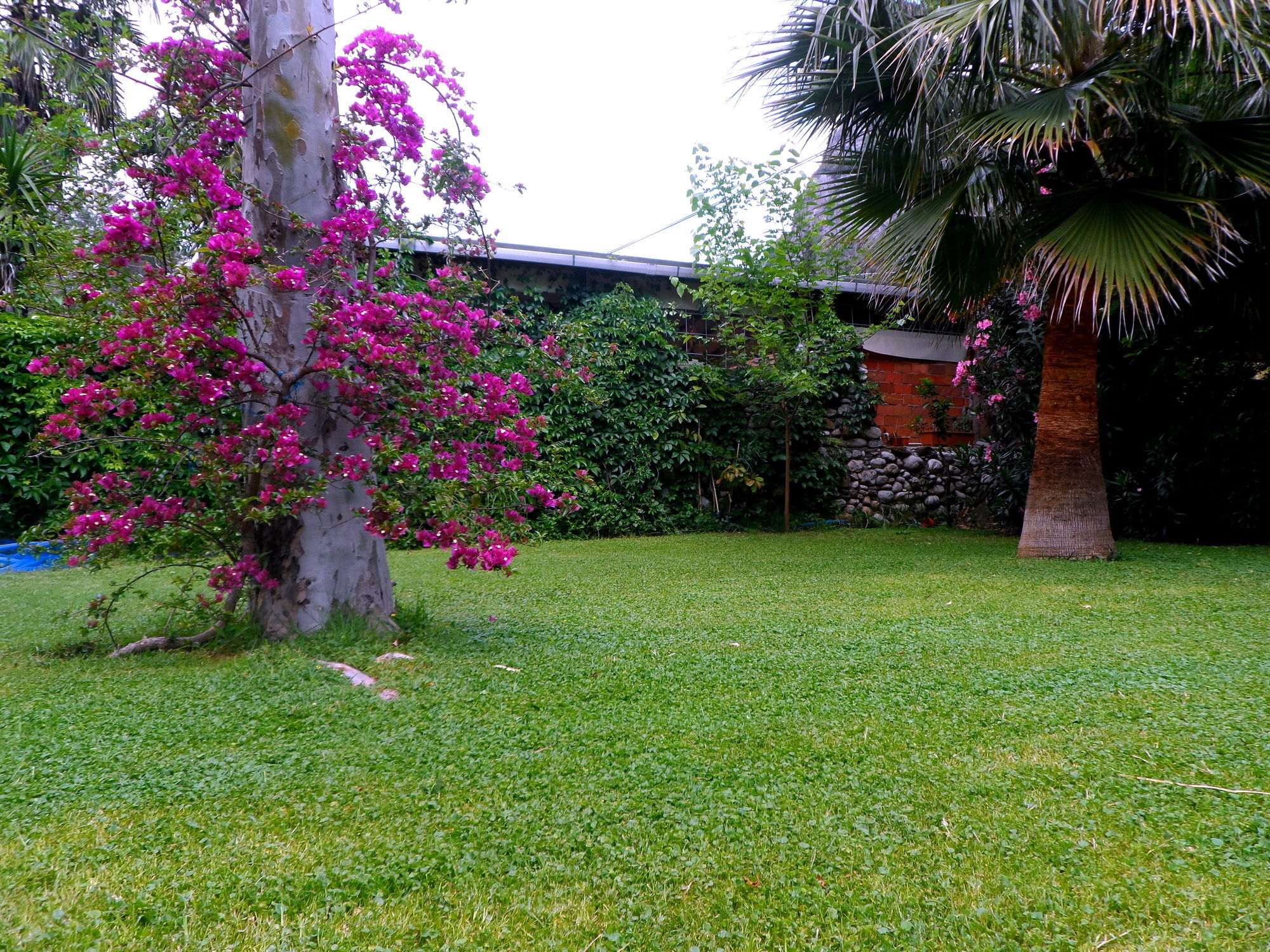 Arya Holiday Houses Çıralı Eksteriør billede