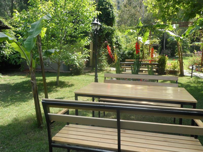 Arya Holiday Houses Çıralı Eksteriør billede